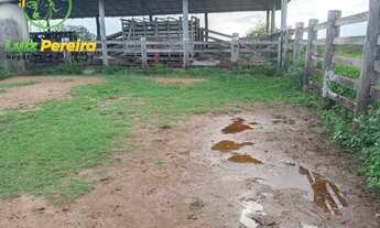 Imagem: FAZENDA À VENDA EM GOIANÉSIA - PA - 3.920