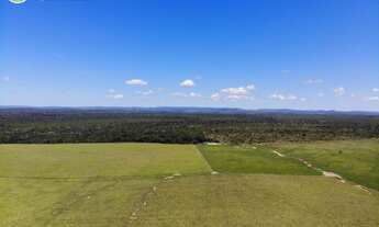 Imagem 3: FAZENDA Á VENDA NA REGIÃO DE ARAGUAÍNA- TO -17.352 HECTARES (DUPLA APTIDÃO