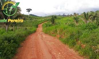 Imagem: FAZENDA À VENDA EM PACAJÁ, PA - DE 690