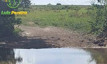 Imagem 5: FAZENDA À VENDA EM VALE DO ARAGUAIA - T0 - 20% DE RESERVA (Dupla Aptidão