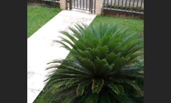 Imagem 7: Apartamento triplex com 3 quartos no Recreio dos Bandeirantes