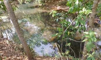 Imagem 7: LINDA CHÁCARA TERENOS COM 26 HECTARES COM 3 CASAS 9J9T5A