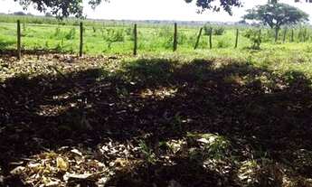 Imagem 4: FAZENDA À VENDA EM BANDEIRANTES - MS - 609 HECTARES (DUPLA APTIDÃO