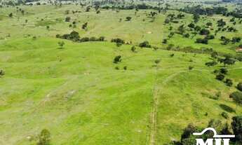 Imagem 3: Fazenda 76 alqueires (367 hectares) Morrinhos - GO