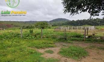 Imagem 2: FAZENDA À VENDA EM JACUNDA - PA - 1.258,4 HECTARES (DUPLA APTIDÃO