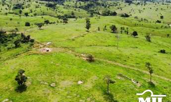 Imagem 6: Fazenda 76 alqueires (367 hectares) Morrinhos - GO