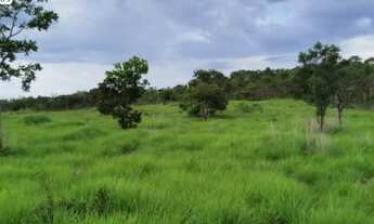 Imagem 2: FAZENDA À VENDA EM PARANÃ - TO - 871,2 HECTARES