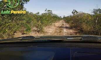Imagem 2: FAZENDA Á VENDA EM SÃO DESIDÉRIO - BA - DE 10.204 HECTARES (Lavoura