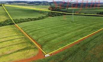 Imagem 3: 16 alq. com aprox. 14 alq. mec. por 3.200 sacas o alq