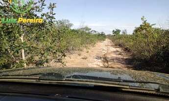 Imagem: FAZENDA Á VENDA EM SÃO DESIDÉRIO - BA