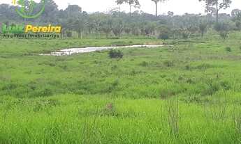 Imagem 4: FAZENDA À VENDA EM BREU BRANCO - PA - 290 HECTARES (DUPLA APTIDÃO