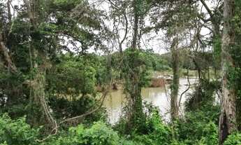 Imagem 4: FAZENDA À VENDA EM PARANÃ - TO - 871,2 HECTARES