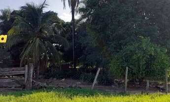 Imagem 6: FAZENDA A VENDA EM FIGUEIRÃO - MS - DE 2.334 HECTARES