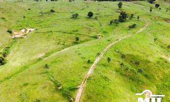 Imagem 5: Fazenda 76 alqueires (367 hectares) Morrinhos - GO