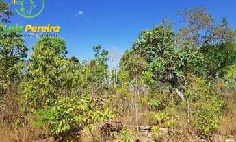 Imagem 5: FAZENDA À VENDA EM CENTENARIO - TO - DE 246 ALQUEIRÕES (Dupla Aptidão