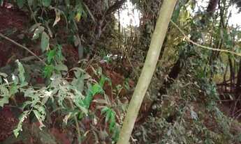 Imagem 4: Vende-se chácara em hidrolandia