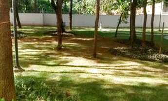 Imagem 6: Apartamento Bairro Lagoinha