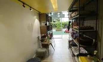 Imagem: Exelente loja PetShop 45M2 - Augusto Vasconcelos