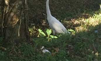 Imagem: Venda de Casa em São Paulo