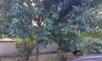 Imagem 5: Vende-se Chácara em Vila Velha