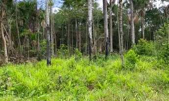 Imagem 5: Propriedade rural em Alcântara/MA