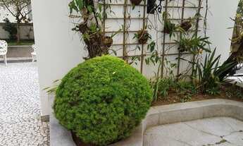 Imagem 2: Apartamento para aluguel com 85 metros quadrados com 3 quartos