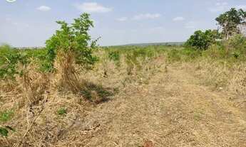 Imagem 3: FAZENDA Á VENDA EM BALSAS - MA - 410 HECTARES (DUPLA APTIDÃO