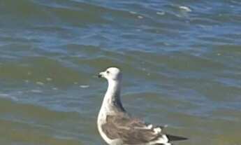 Imagem 3: Kitinete em Arraial do cabo temporada