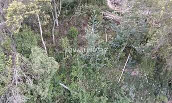 Imagem 5: Terreno com Preço de Oportunidade à Venda no Região da Abernéssia - Campos do Jordão/SP