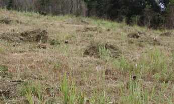 Imagem 3: Terrenos a venda