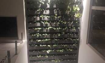 Imagem 7: Linda casa NOVA modernismo em Condominio fechado no Altiplano 328m2 projeto Lindo