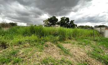 Imagem 4: Excelente Lote à venda no Bairro Braunas!