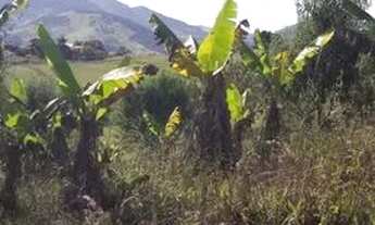 Imagem 5: Chácara em Gonçalves, Sul de Minas