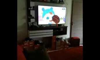 Imagem 3: Casa para venda na Glória