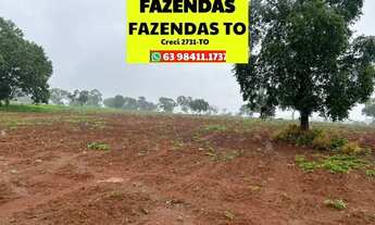 Imagem 3: Fazenda dupla aptidão região entre Paraíso e Divinópolis