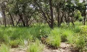 Imagem 7: Fazenda 29.000 hectares a venda no Maranhão