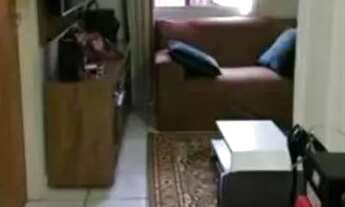 Imagem 3: Casa para venda alegrim