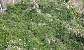 Imagem 3: Terreno com Preço de Oportunidade à Venda no Região da Abernéssia - Campos do Jordão/SP