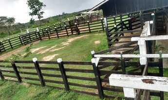 Imagem 2: Fazenda em Boa Vista/RR