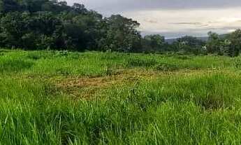 Imagem: Vendo sítio 50 hectares