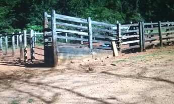 Imagem 4: Fazenda em Barro Alto (anúncio direto do proprietário
