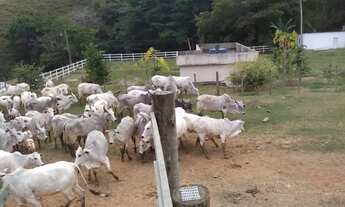 Imagem 3: Vanda se está fazenda de 62 alqueires no Município de Itaperuna/RJ