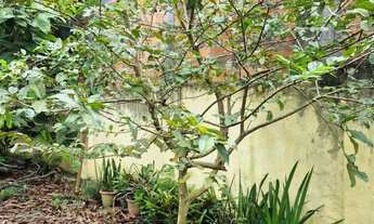 Imagem 7: Vendo Casa em Rua Nobre de Amargosa