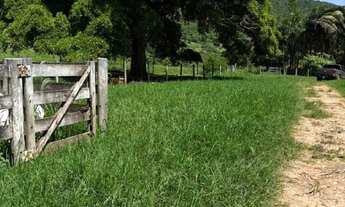 Imagem 5: VENDO FAZENDA EM PALMEIRAS DE GOIAS