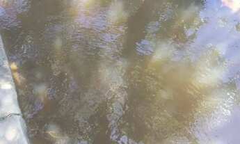 Imagem 6: Sítio com 3,5 alqueires na região do Xuri