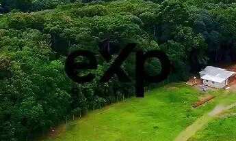 Imagem 4: Chácara à Venda em Campo Largo - 21.000m²