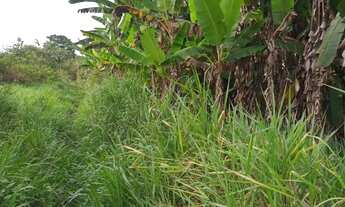 Imagem 5: TERRENO À VENDA DE 492ha - AMAJARI