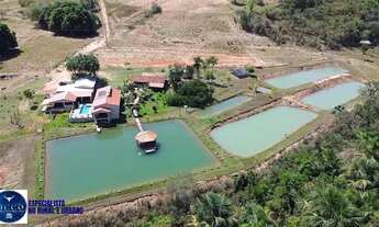 Imagem 2: Fazenda de Alto Padrão à Venda 80 Alqueires Próximo a Bom Jardim (GO