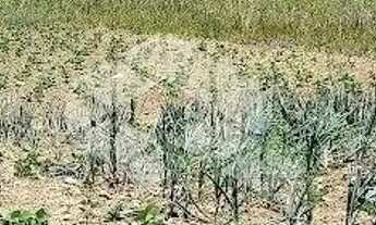 Imagem 2: Terreno com 390 m² no loteamento Recanto da Paulina