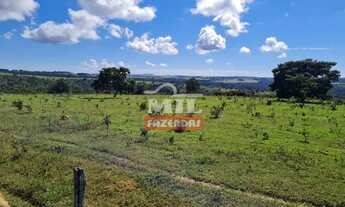 Imagem 13: Fazenda 414 alqueires (2.007 hectares) Caiapônia - Go